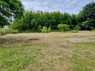 Detached House with Character and Garden