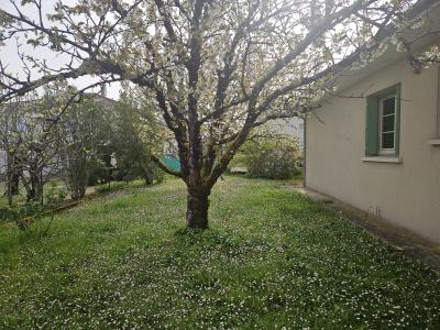 Detached House with Garden