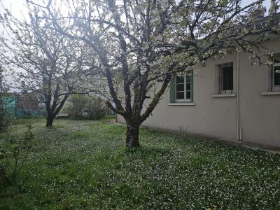 Detached House with Garden