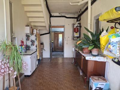 Traditional House with Garden and Outbuilding