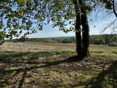 Detached Country House with Open Views