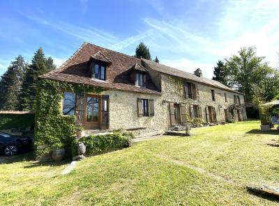 Detached Country House with Pool and Land