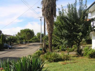 Detached House with Lovely Swimming Pool