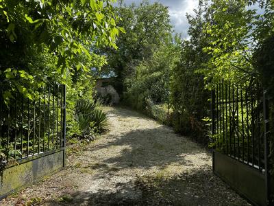 Main House, Guest Cottage ad Swimming Pool