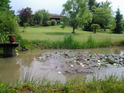 Detached House with Water Lily Pond in Large Garden