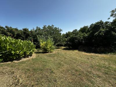 Detached Country House with Swimming Pool