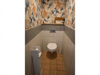 Former Farmhouse with Guest Gite