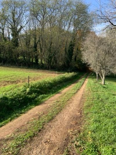 Superb Detached Country House with Swimming Pool