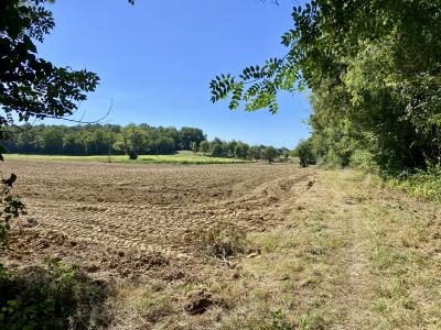 Stunning Country House with Land and Outbuilding