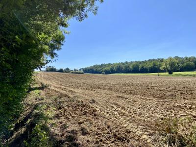 Stunning Country House with Land and Outbuilding