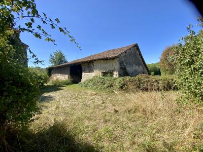 Stunning Country House with Land and Outbuilding
