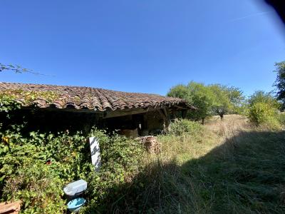 Stunning Country House with Land and Outbuilding