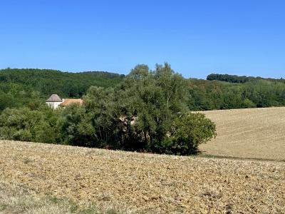 Stunning Country House with Land and Outbuilding