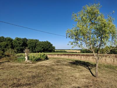 Detached Country House With Open Views and Land