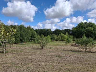 Detached Country House With Open Views and Land