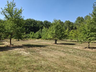 Detached Country House with Large Garden
