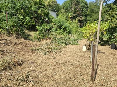 Village House, Ideal Holiday Home