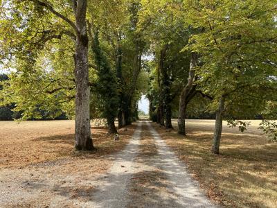 Bourgeoise Manor House in 5 Hectares with Pool and More
