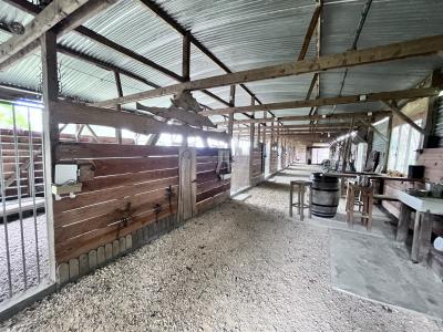 Detached Country House With Outbuildings and Land