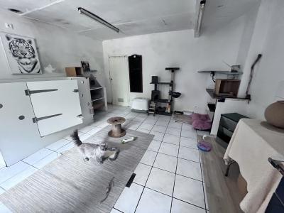 Detached Country House With Outbuildings and Land