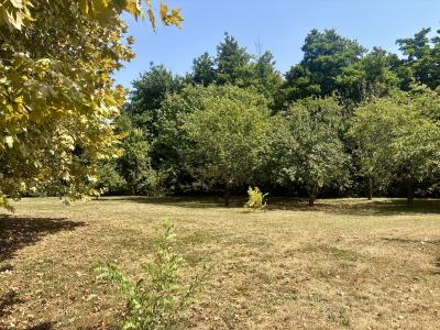 Main Detached House, Guest Gite, Pool and Land