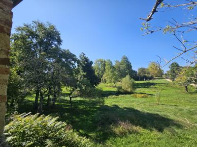 Delightful House with Garden in Great Location