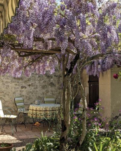 Delightful House with Garden in Great Location