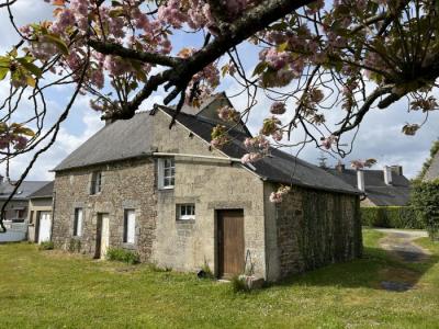 Two Houses For Sale with Large Garden