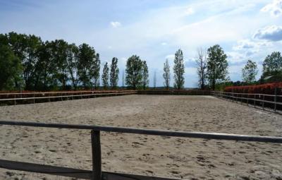 Beautiful Equestrian Property On 18 Hectares of Land