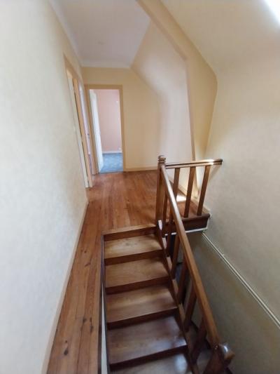 Detached House with Garden