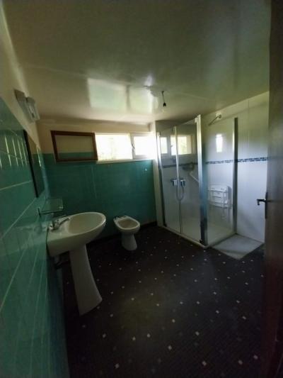 Detached House with Garden