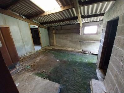 Detached House with Garden