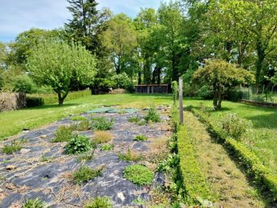 Detached House with Garden