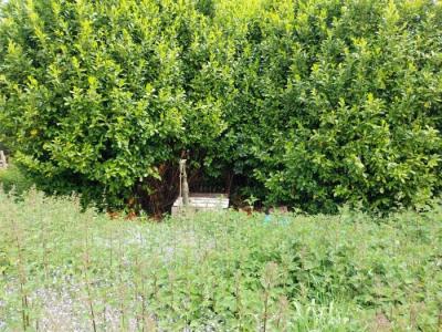 Building Plot For Sale with Services Nearby