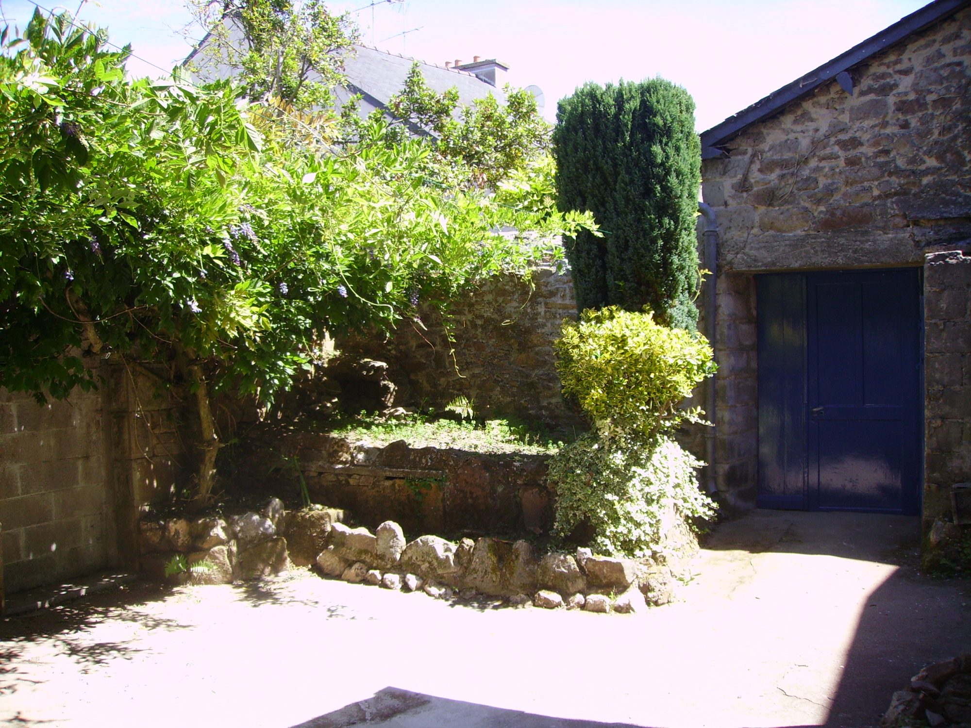Main Photo