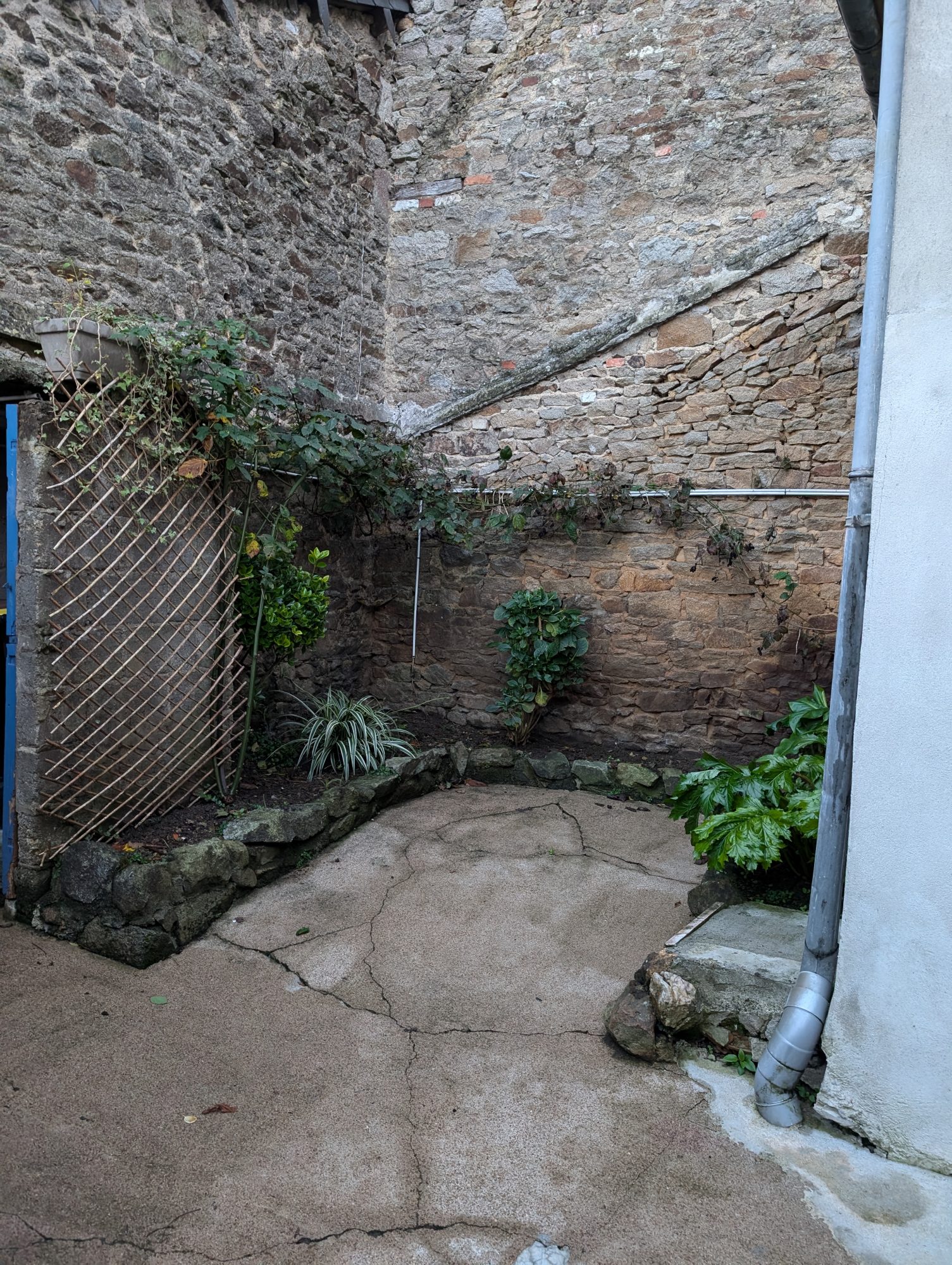 Main Photo