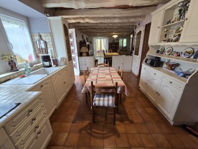 Traditional House with Nice Garden