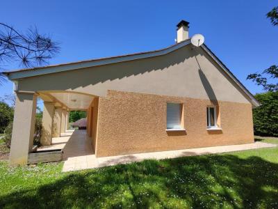 Contemporary House, Terrace, Garden And Garage