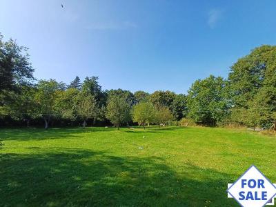 Detached Country House with Garden