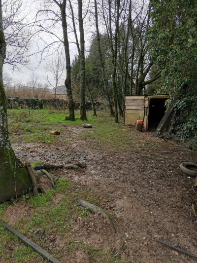 Country House to Renovate