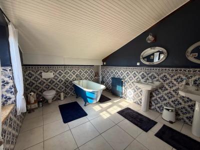 Renovated Farmhouse With Swimming Pool and Land