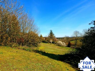 Stunning Detached House and Landscaped Garden