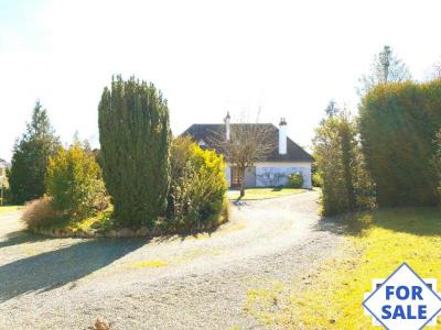 Stunning Detached House and Landscaped Garden