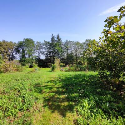 Farmhouse With Pool, Guest Apartments, 1.2 Hectares