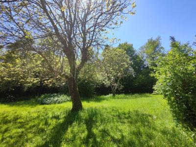 Maison De Maitre With Beautiful Garden