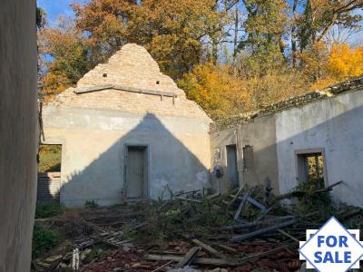 Barn to Renovate, Great Blank Canvas Project
