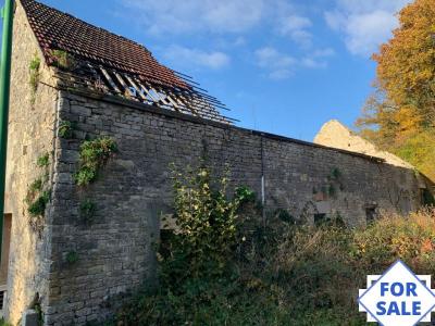 Barn to Renovate, Great Blank Canvas Project