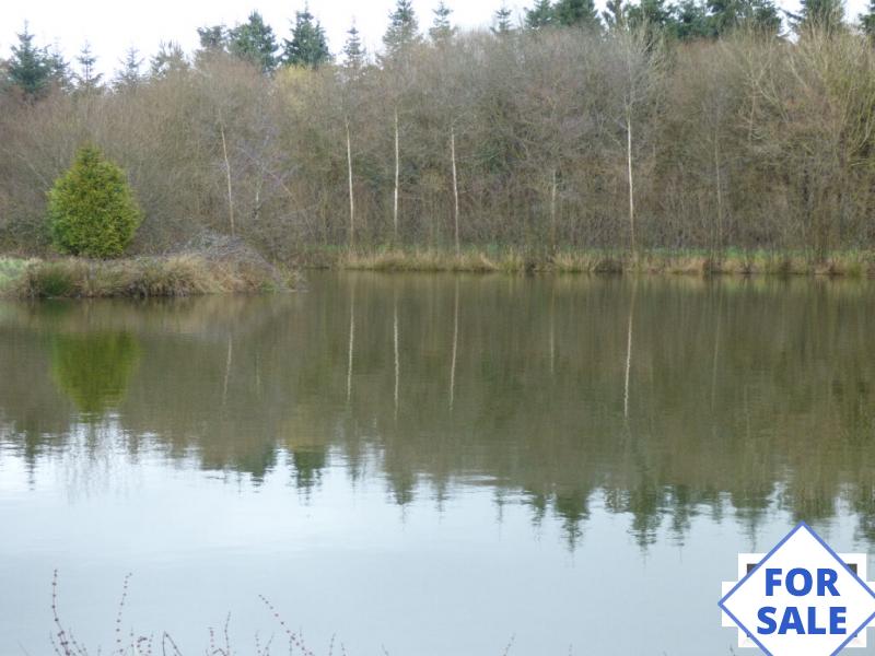 One Acre Lake with 1.6 Hectares of Land