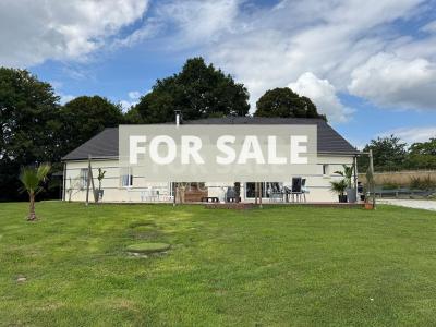 Maison Neuvesecteur Mortagne-au-perche