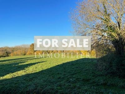 Lovely Village House with Mature Garden